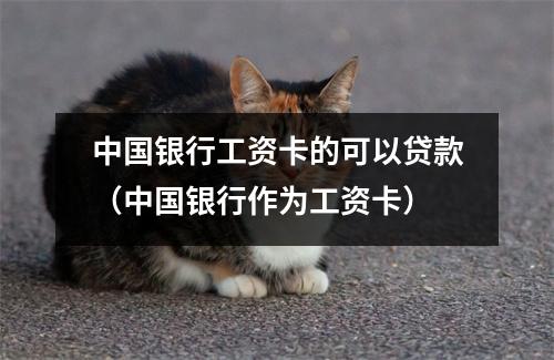 中国银行工资卡的可以贷款(中国银行作为工资卡)