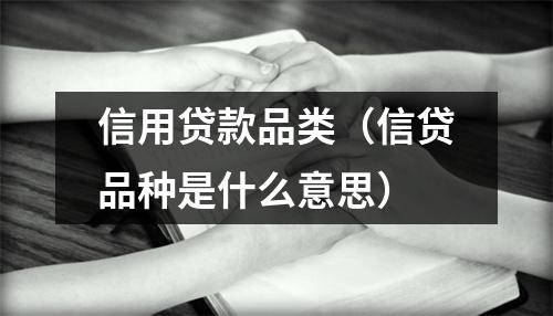 信用贷款品类（信贷品种是什么意思）