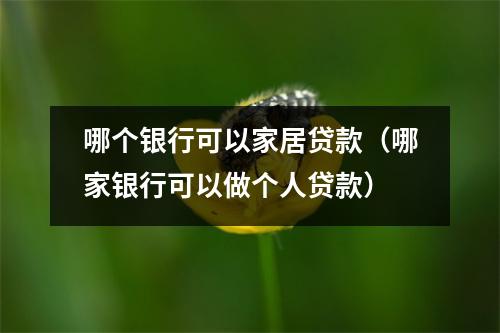 哪个银行可以家居贷款（哪家银行可以做个人贷款）