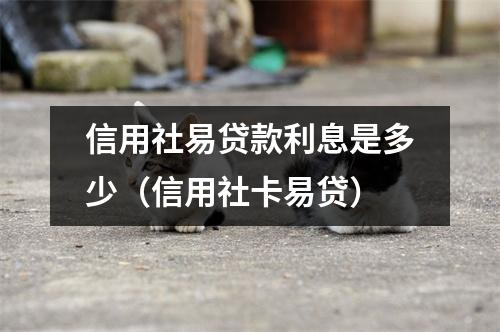 信用社易贷款利息是多少（信用社卡易贷）