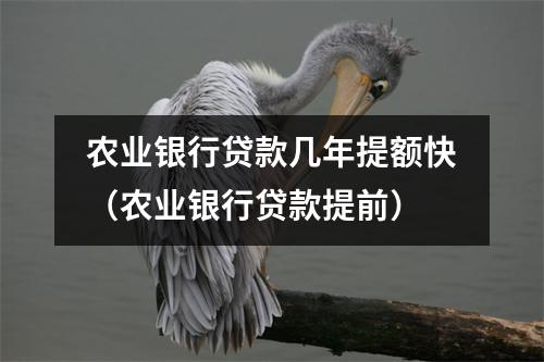 农业银行贷款几年提额快（农业银行贷款提前）