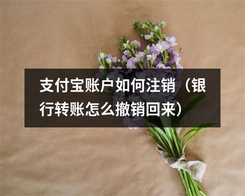 支付宝账户如何注销（银行转账怎么撤销回来）