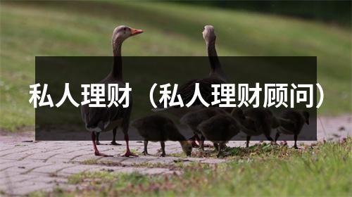 私人理财（私人理财顾问）