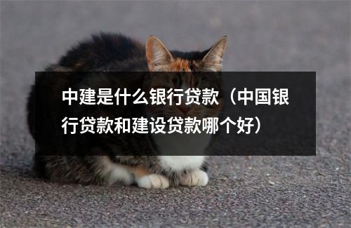 中建是什么银行贷款（中国银行贷款和建设贷款哪个好）