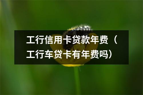 工行信用卡贷款年费（工行车贷卡有年费吗）
