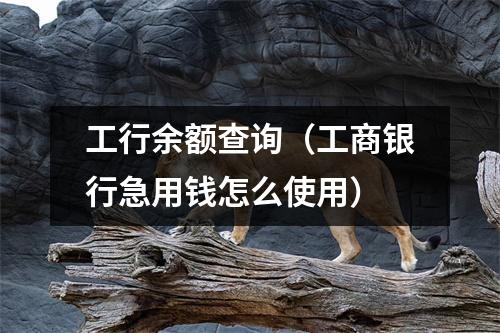 工行余额查询（工商银行急用钱怎么使用）