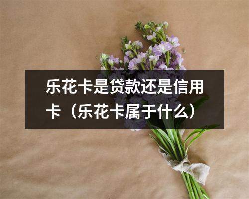 乐花卡是贷款还是信用卡（乐花卡属于什么）