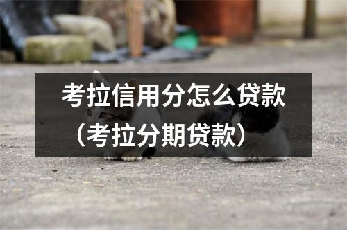 考拉信用分怎么贷款（考拉分期贷款）