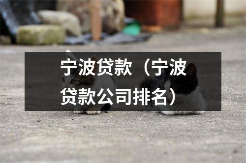 宁波贷款(宁波贷款公司排名)
