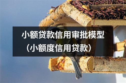 小额贷款信用审批模型（小额度信用贷款）