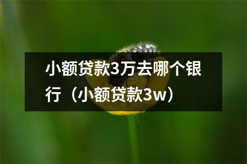 小额贷款3万去哪个银行（小额贷款3w）