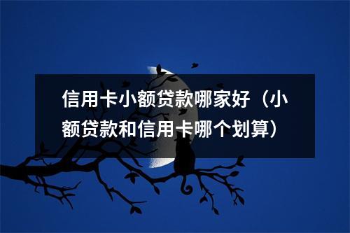 信用卡小额贷款哪家好（小额贷款和信用卡哪个划算）
