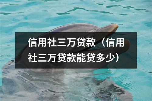 信用社三万贷款（信用社三万贷款能贷多少）
