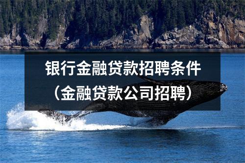 银行金融贷款招聘条件（金融贷款公司招聘）