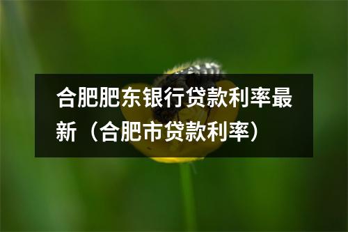合肥肥东银行贷款利率最新（合肥市贷款利率）