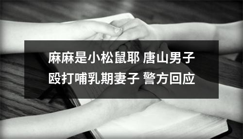 麻麻是小松鼠耶 唐山男子殴打哺乳期妻子 警方回应