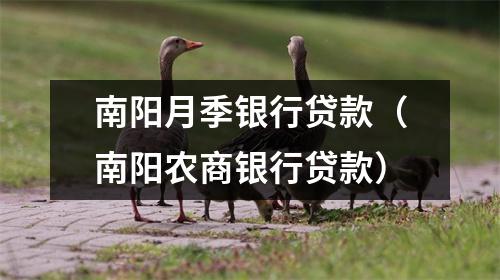 南阳月季银行贷款（南阳农商银行贷款）