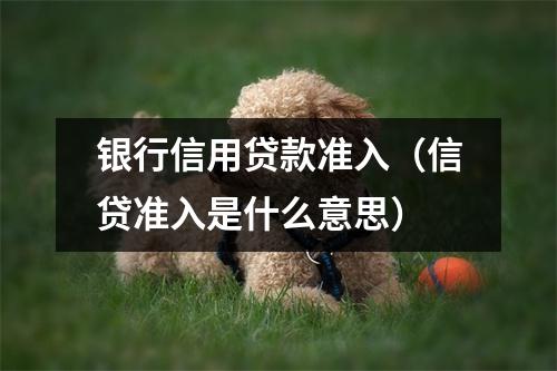 银行信用贷款准入（信贷准入是什么意思）
