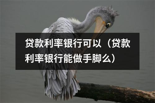 贷款利率银行可以（贷款利率银行能做手脚么）