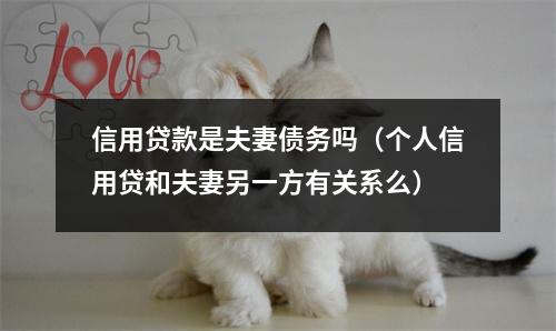 信用贷款是夫妻债务吗（个人信用贷和夫妻另一方有关系么）