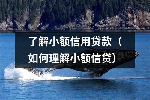了解小额信用贷款（如何理解小额信贷）