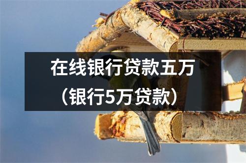 在线银行贷款五万（银行5万贷款）