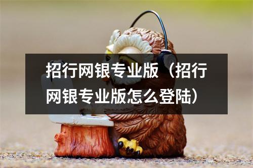 招行网银专业版（招行网银专业版怎么登陆）