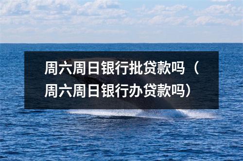 周六周日银行批贷款吗（周六周日银行办贷款吗）
