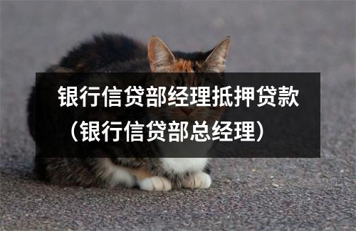 银行信贷部经理抵押贷款（银行信贷部总经理）