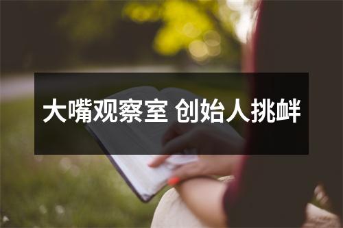 大嘴观察室 创始人挑衅