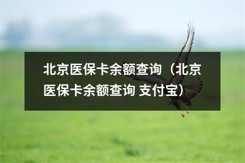 北京医保卡余额查询（北京医保卡余额查询 支付宝）