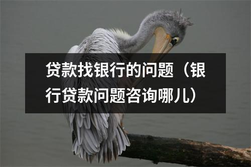 贷款找银行的问题（银行贷款问题咨询哪儿）