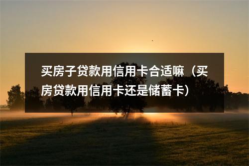 买房子贷款用信用卡合适嘛(买房贷款用信用卡还是储蓄卡)