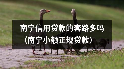 南宁信用贷款的套路多吗（南宁小额正规贷款）