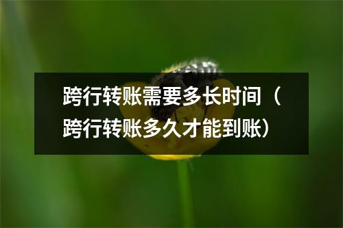 跨行转账需要多长时间（跨行转账多久才能到账）