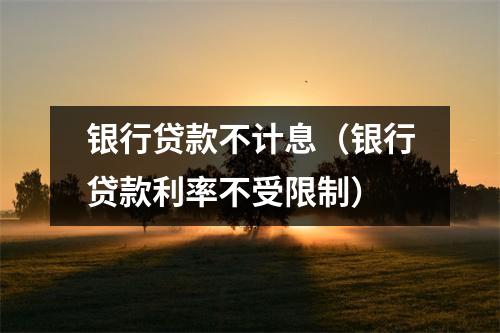 银行贷款不计息（银行贷款利率不受限制）