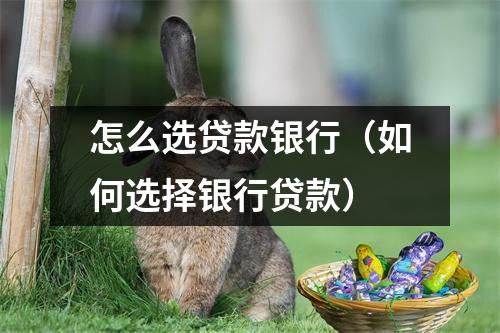怎么选贷款银行（如何选择银行贷款）