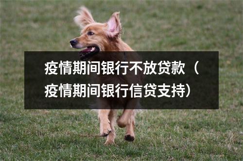疫情期间银行不放贷款（疫情期间银行信贷支持）