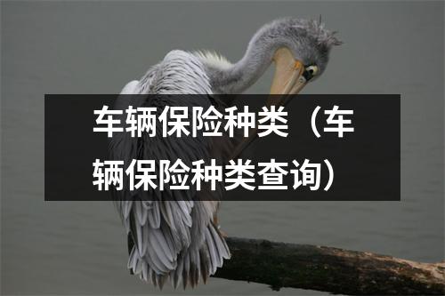 车辆保险种类（车辆保险种类查询）