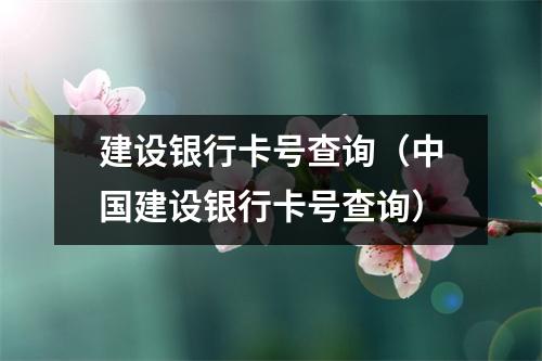 建设银行卡号查询(中国建设银行卡号查询)