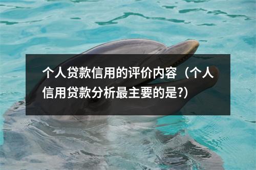 个人贷款信用的评价内容（个人信用贷款分析最主要的是?）