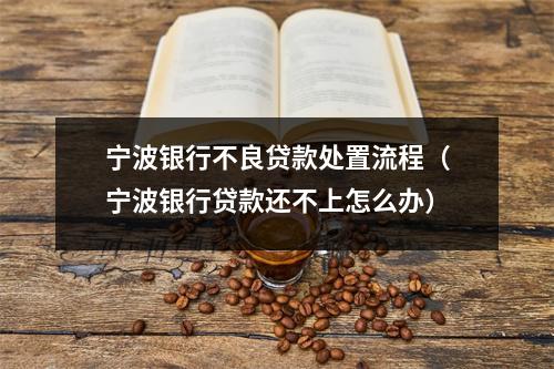 宁波银行不良贷款处置流程（宁波银行贷款还不上怎么办）