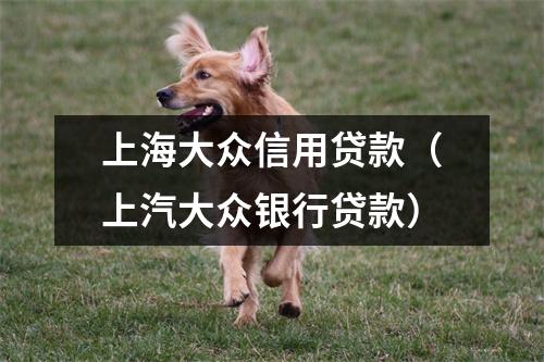 上海大众信用贷款（上汽大众银行贷款）