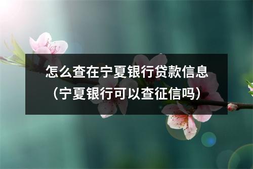 怎么查在宁夏银行贷款信息（宁夏银行可以查征信吗）
