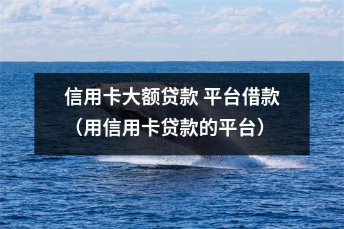 信用卡大额贷款 平台借款(用信用卡贷款的平台)