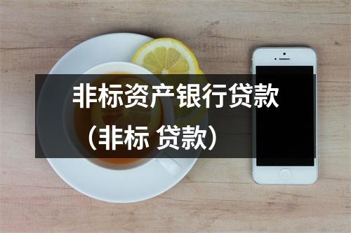 非标资产银行贷款（非标 贷款）