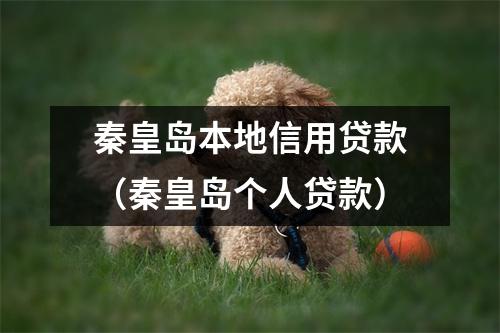 秦皇岛本地信用贷款（秦皇岛个人贷款）