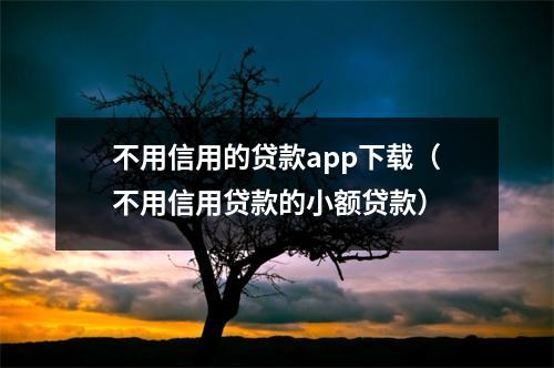 不用信用的贷款app下载（不用信用贷款的小额贷款）