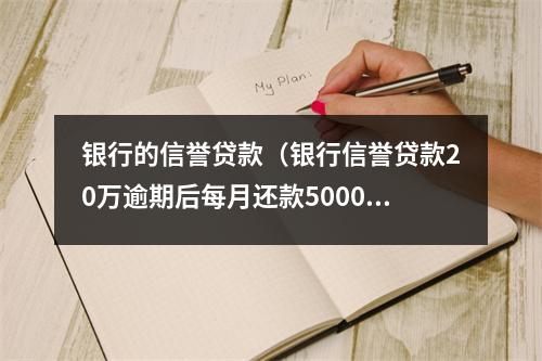 银行的信誉贷款（银行信誉贷款20万逾期后每月还款5000元还会起诉吗）