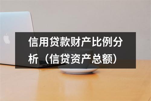 信用贷款财产比例分析（信贷资产总额）